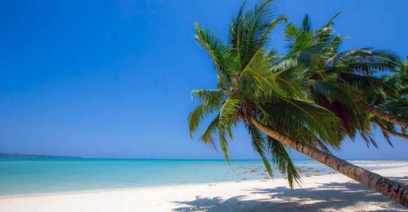 Drumroll please, these are the 10 best beaches in India | Glimpses Of ...