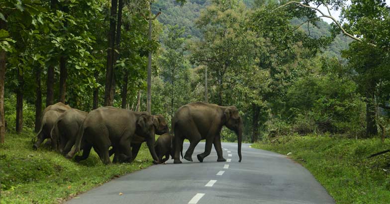 Tourism industry at a dead end | Kerala Tourism | Glimpses Of Kerala ...