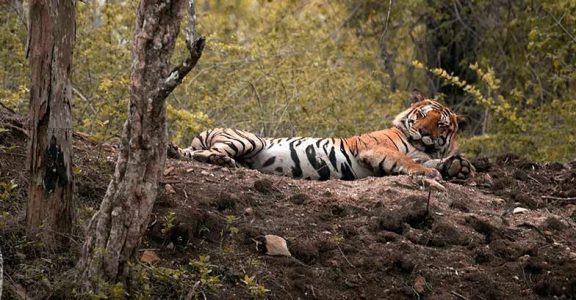 Travel Tuesday: Meet Praveen Premkumar Travel Tuesday: Meet Praveen Premkumar
