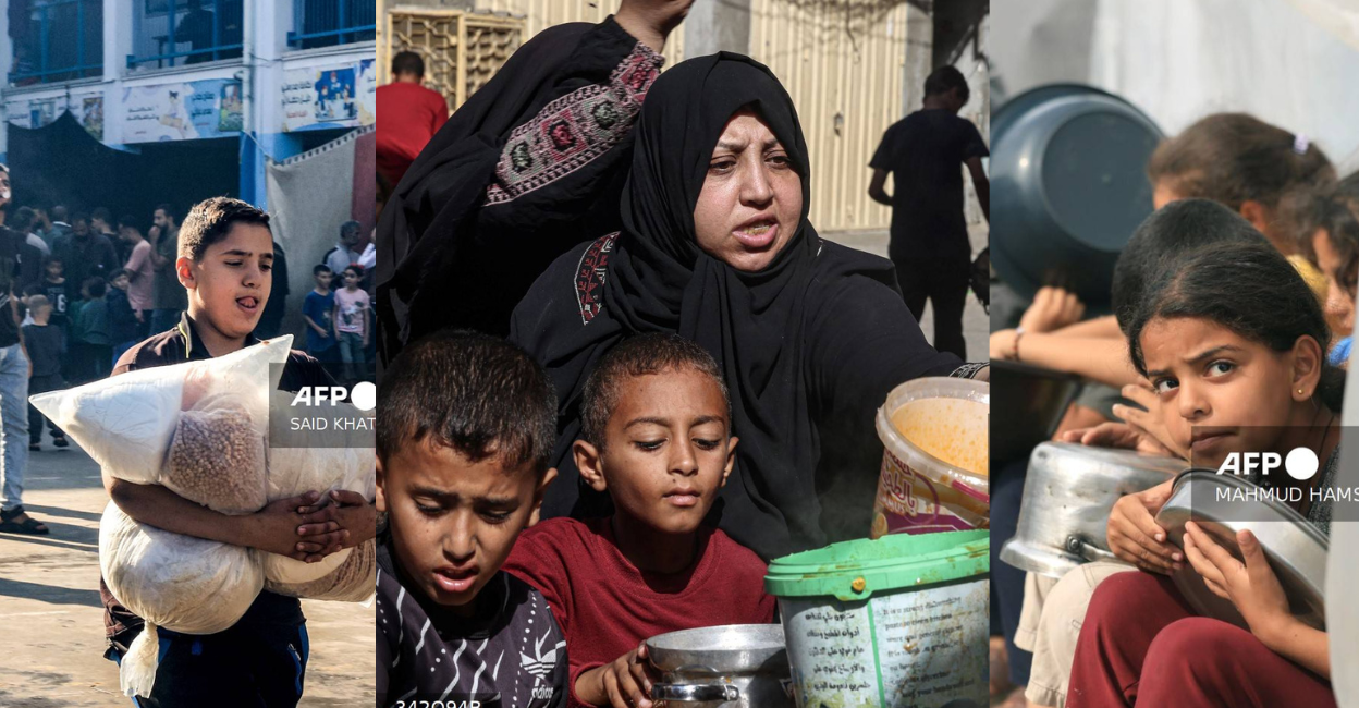  Gaza faces widespread hunger amidst collapsing food systems
