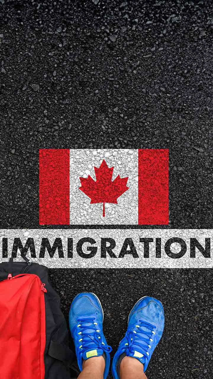 The cap will be in place for two years; the number of permits to be issued in 2025 will be reassessed at the end of this year.