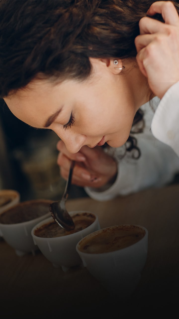 Specialty Coffee Academy of India (SCAI)