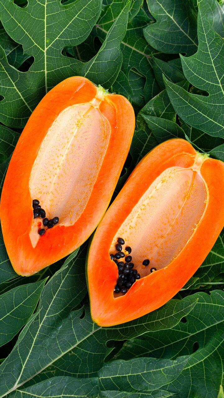 Papaya leaf juice