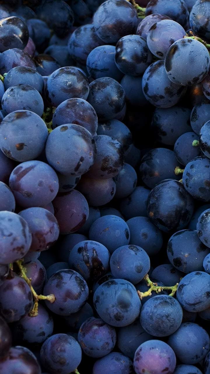 Grapes are back in season! But did you know that the ones available in Indian markets often contain pesticide residues? Fortunately, simple methods can help remove most pesticide residues, making your grapes safer to eat.