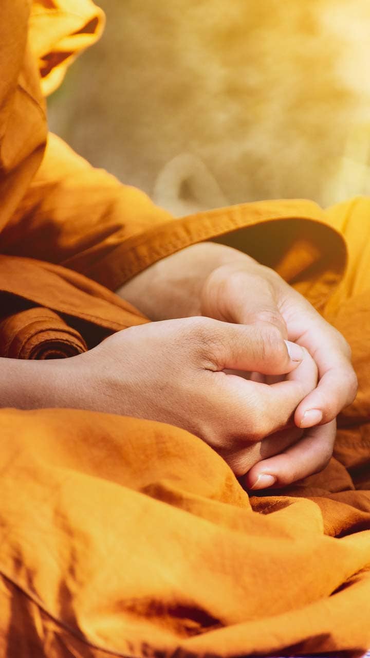 Vipassana Meditation
