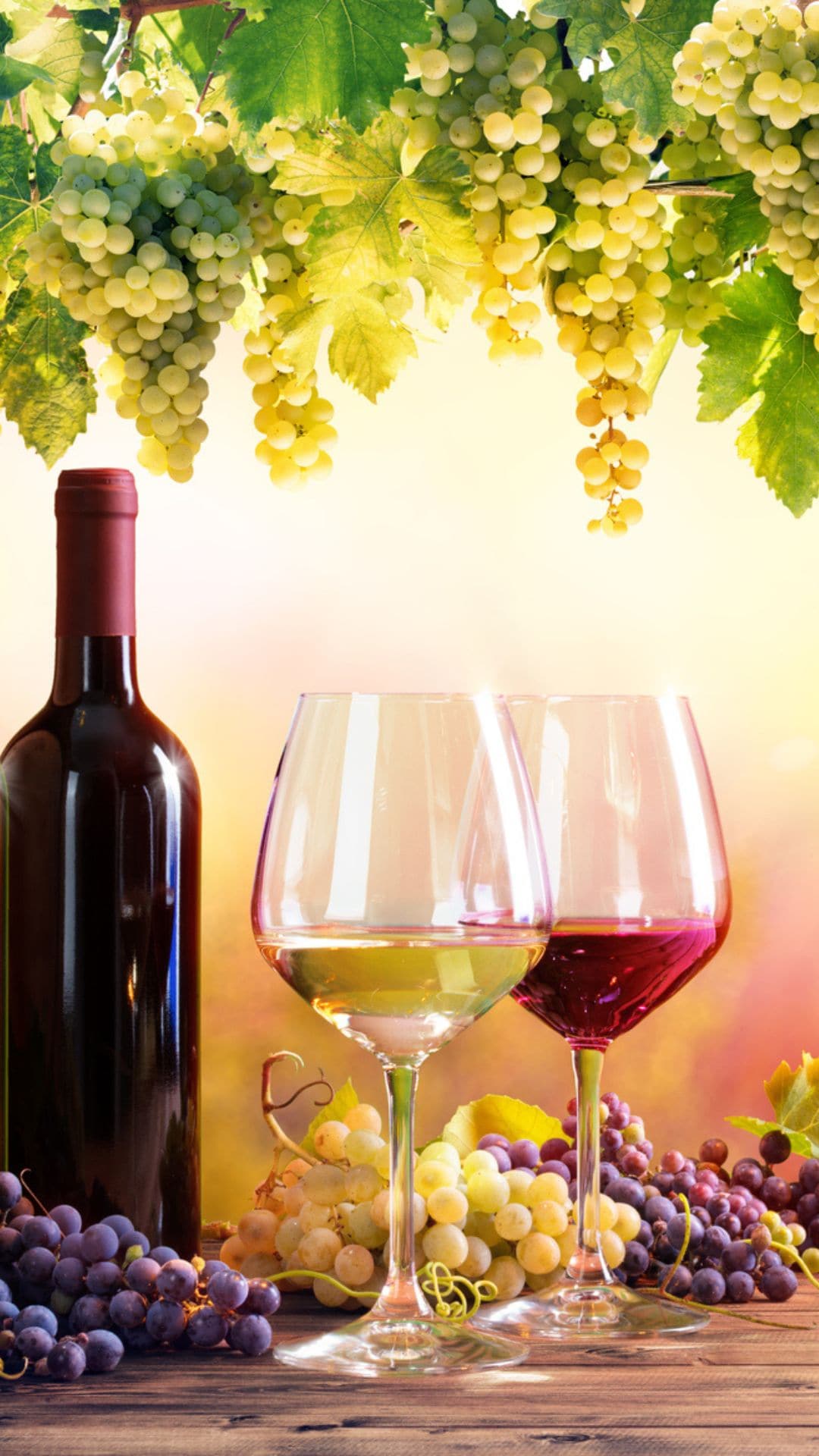 Sip wine the healthy way 