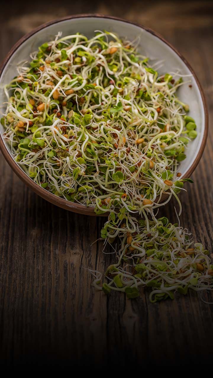 Add sprouts as toppings