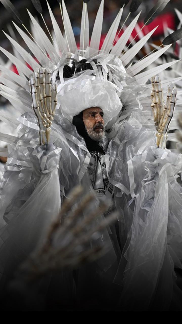 Rio Carnival 2024 in Brazil, Web Stories