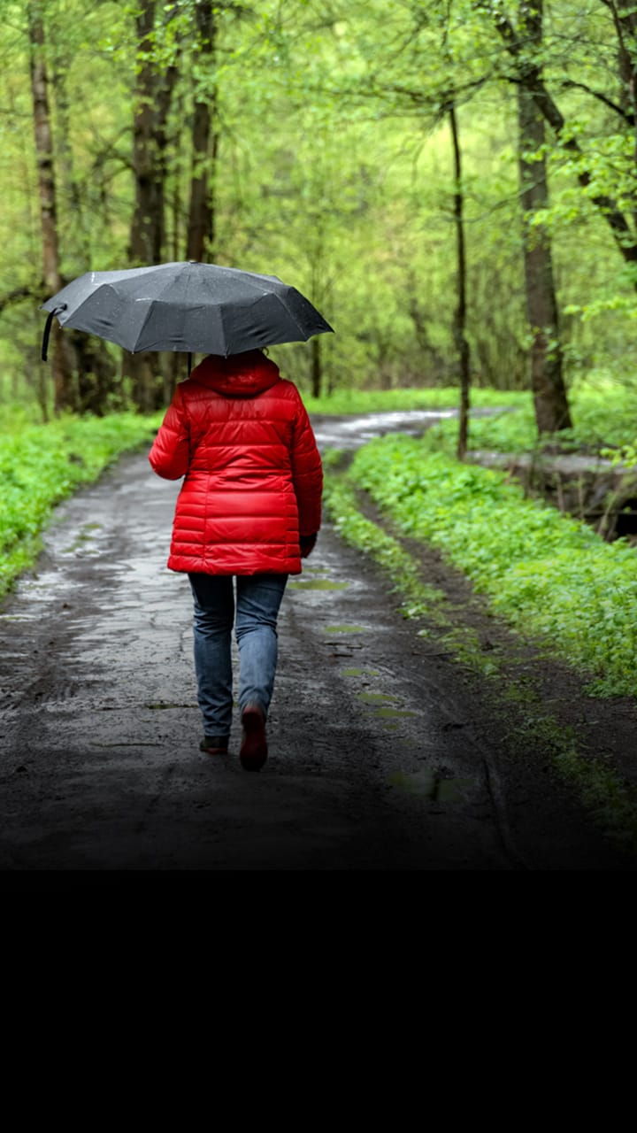 Kerala is beautiful during monsoon season but your holiday plans can also get cancelled if the rainfall is heavy and tourist spots close down. Here's how you can enjoy the holiday in such scenarios: