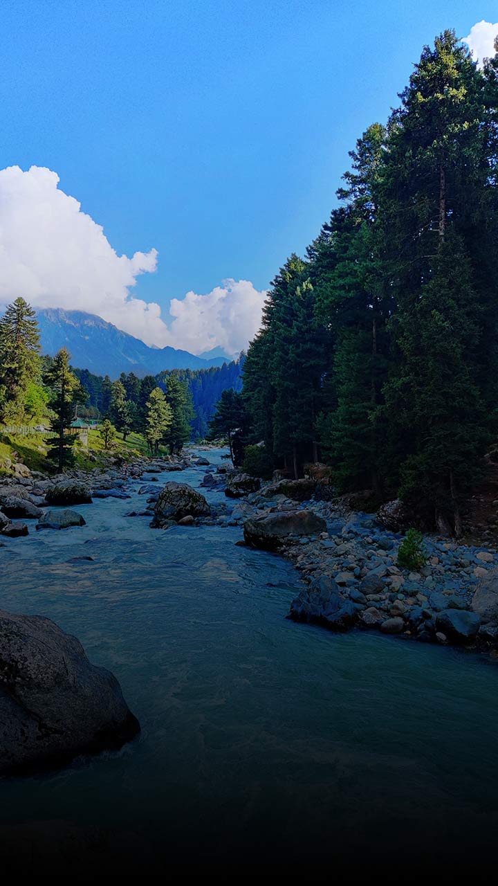  Jammu and Kashmir