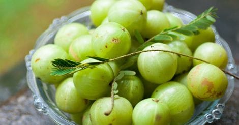 Gooseberry