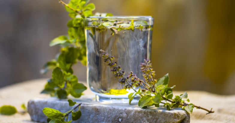 tulsiwater tulsiwater