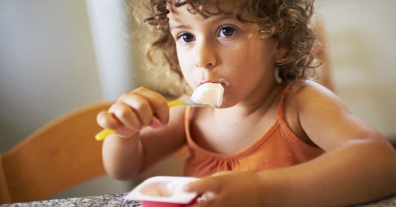 Yogurt Yogurt