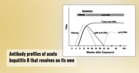 antibody-profiles