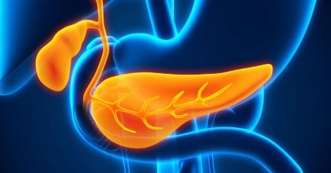 Everyday Health | Drinker’s nightmare: the curious case of the pancreas, an organ capable of destroying itself