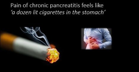 Everyday Health | Drinker’s nightmare: the curious case of the pancreas, an organ capable of destroying itself