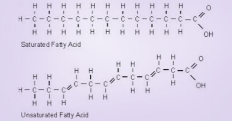 Saturated and unsaturated fatty acid