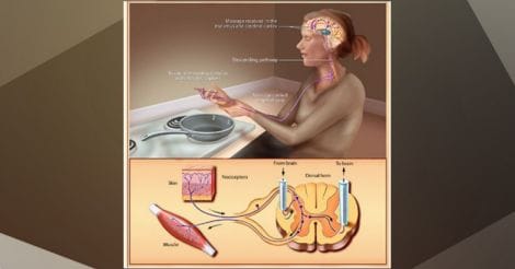 Everyday Health | The basics about pain and painkillers: a user’s guide