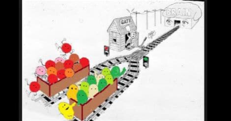 Everyday Health | The basics about pain and painkillers: a user’s guide