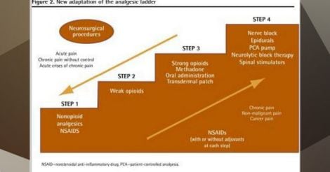 Everyday Health | The basics about pain and painkillers: a user’s guide