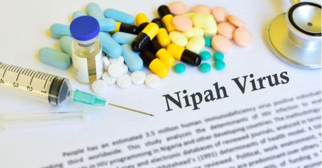nipahvirus