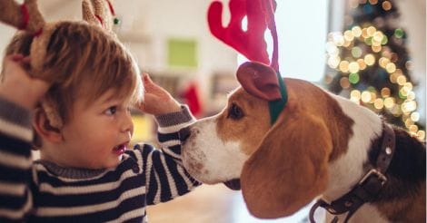 Heal Thy Self | Paws and effect… how a pet can boost your mental health