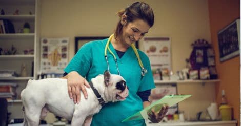 Heal Thy Self | Paws and effect… how a pet can boost your mental health