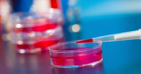 Blood test for cancer treatment becomes a reality