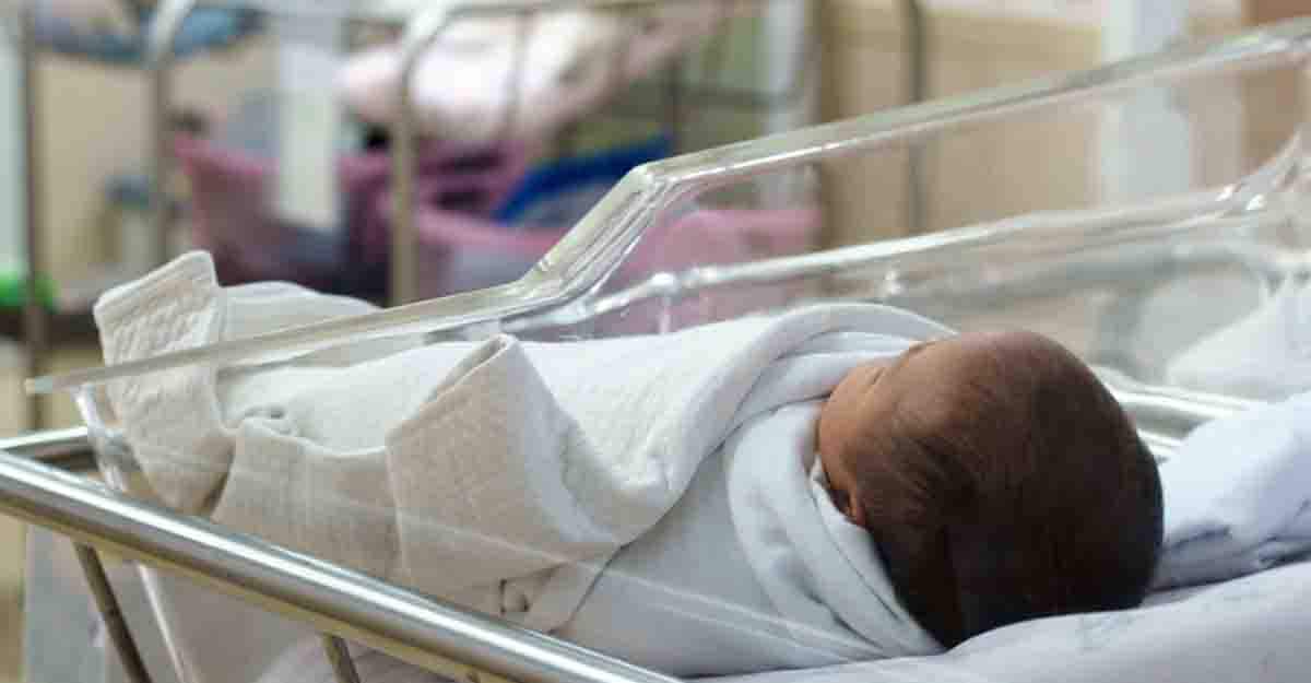 newborn newborn