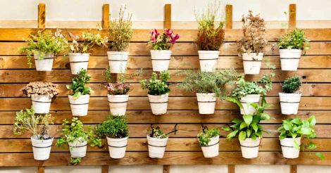 10 stylish ways to decorate your home with plants