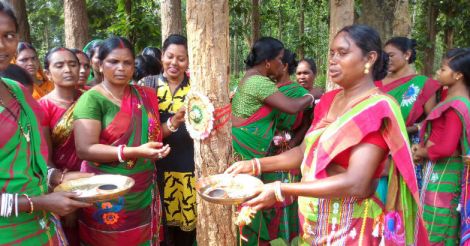 How a tribal woman took on a forest mafia and won