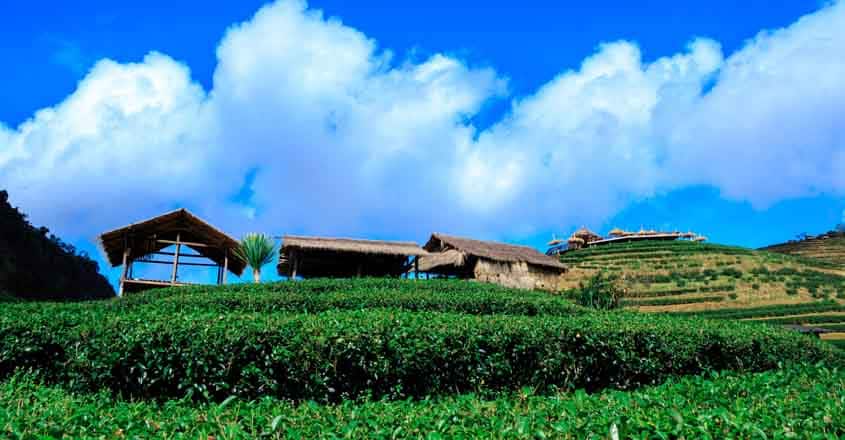 Kerala to classify farm land into 5 categories Kerala to classify farm land into 5 categories