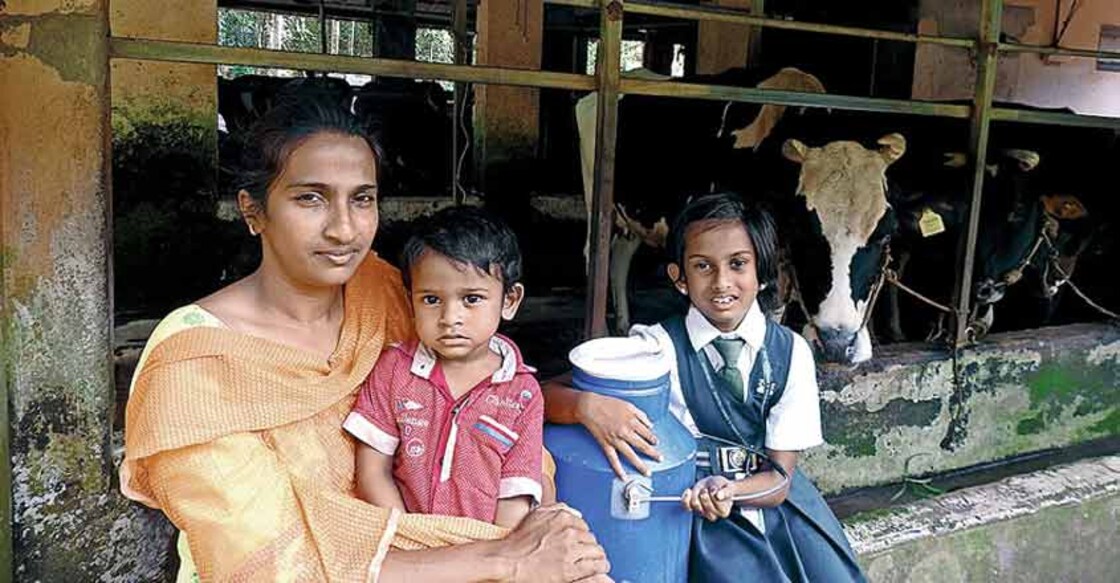 How the flood hit milk flow: A dairy farmer tells her survival story