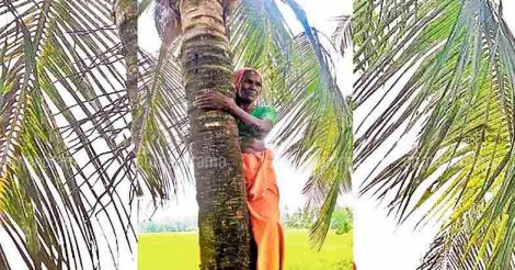 Kunjamma climbed a coconut tree to break the glass ceiling