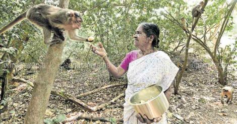 Conservation is no monkey business for this daily wage labourer