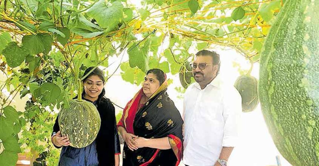 Fousia’s organic vegetable garden in Qatar is quite popular 