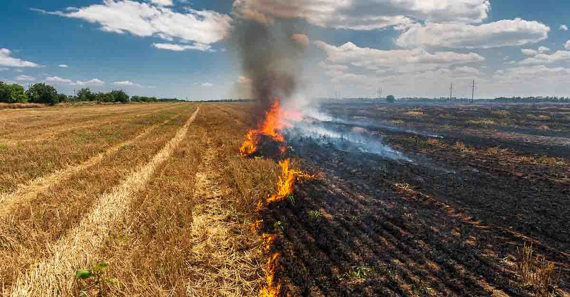 stubble burning stubble burning