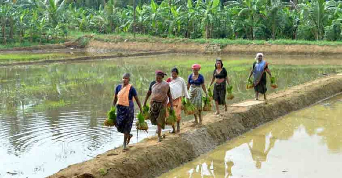 Farm loan waiver: Govt finally puts its money where its mouth is