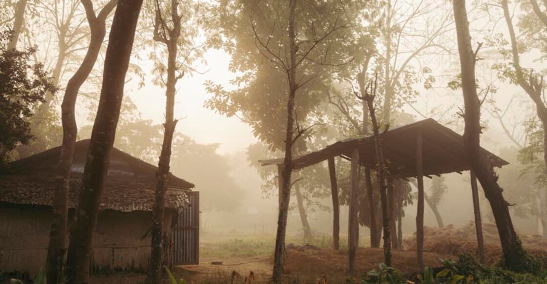 Early morning mist on trees in Nepal.