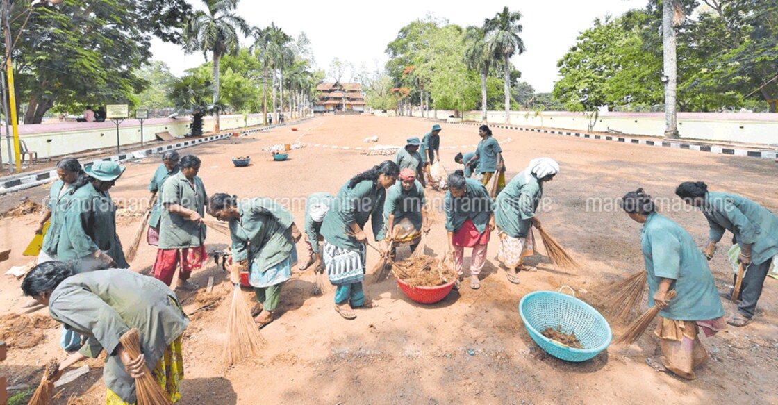 No salary for 1 year: Hapless tale of women who keep Thrissur's Thekkinkadu clean