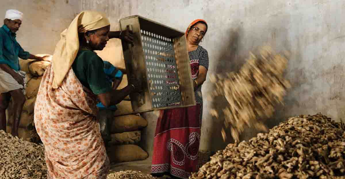 Kerala CM wants to end ban on women doing night shifts in factories Kerala CM wants to end ban on women doing night shifts in factories