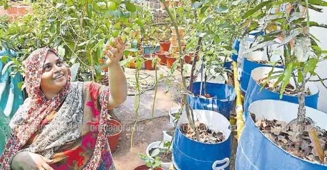 This organic garden thrives on Facebook inputs