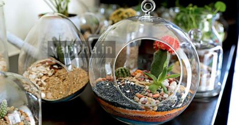 Lakshmi pulls off a rare business and promotes love for plants alongside