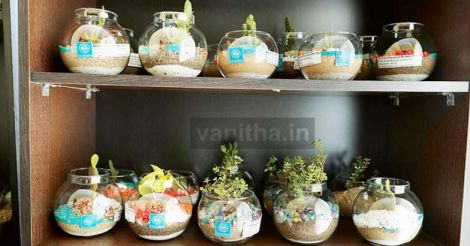 Lakshmi pulls off a rare business and promotes love for plants alongside