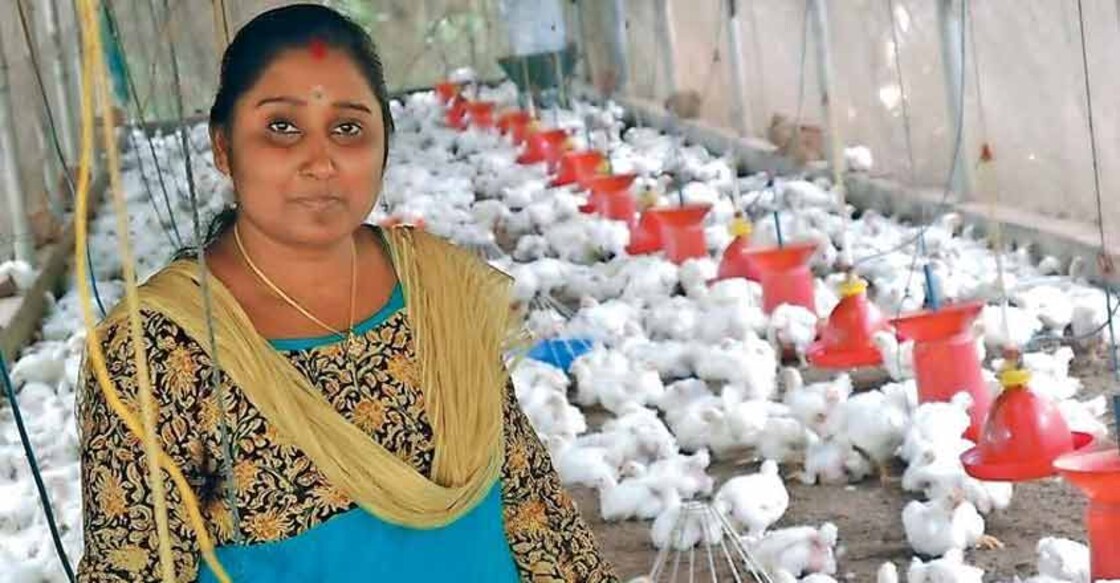 This housewife earns well by selling home-grown organic vegetables