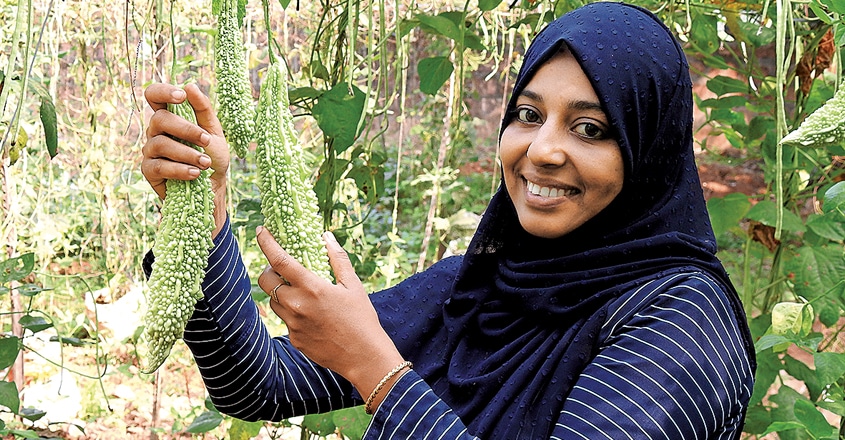 vegetable-cultivation vegetable-cultivation