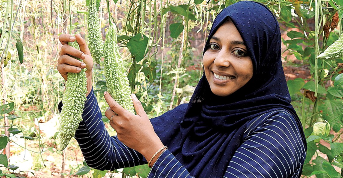 vegetable-cultivation