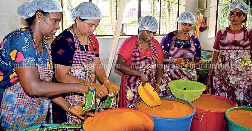 How five women turned entrepreneurs with turmeric cultivation How five women turned entrepreneurs with turmeric cultivation