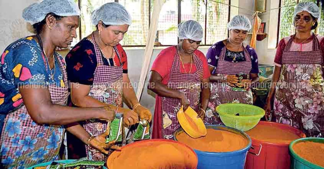 How five women turned entrepreneurs with turmeric cultivation 
